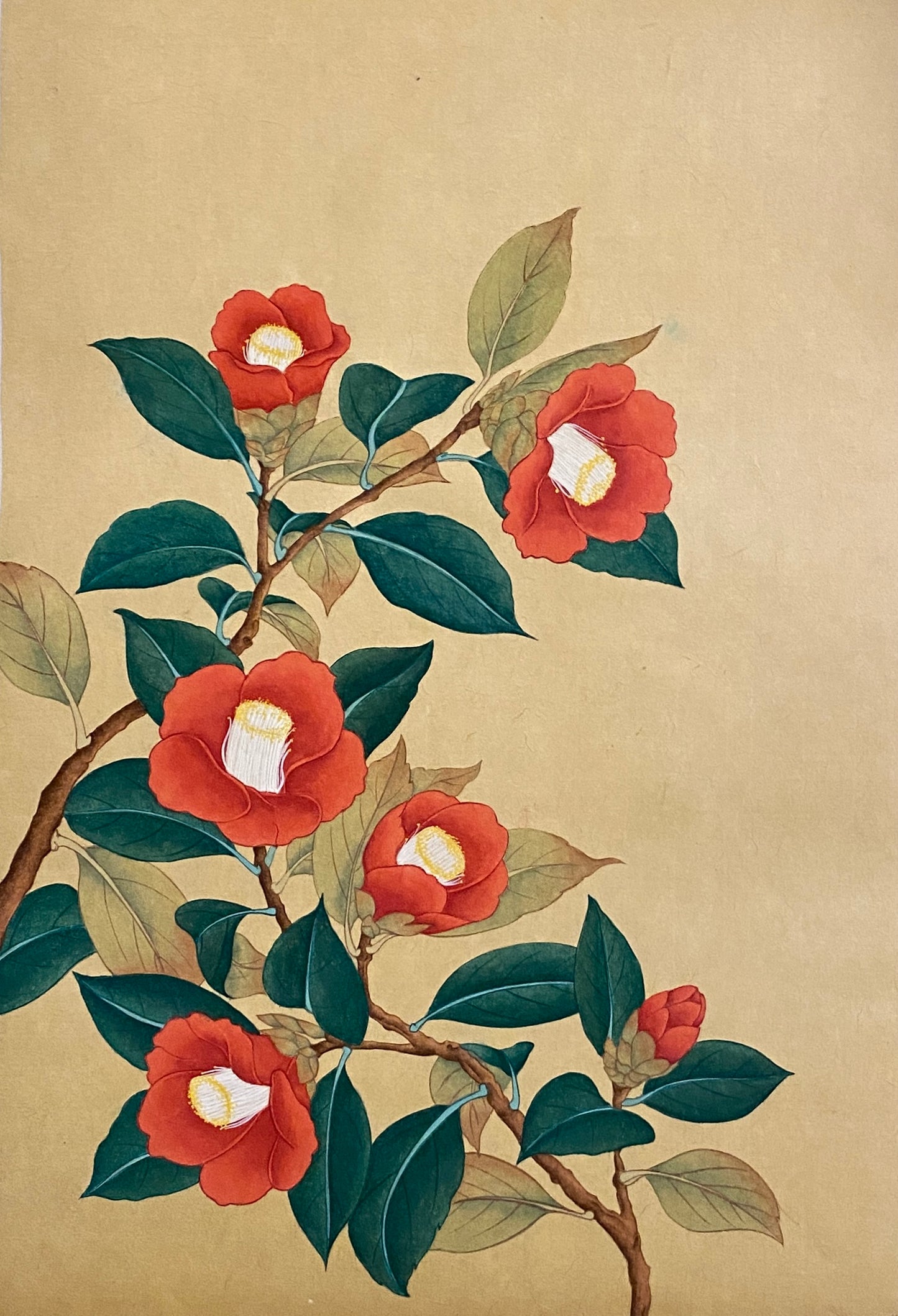 Red Camellias (붉은 동백화)