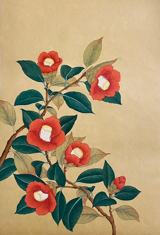 Red Camellias (붉은 동백화)